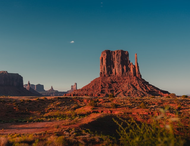 Arizona desert in the afternoon.